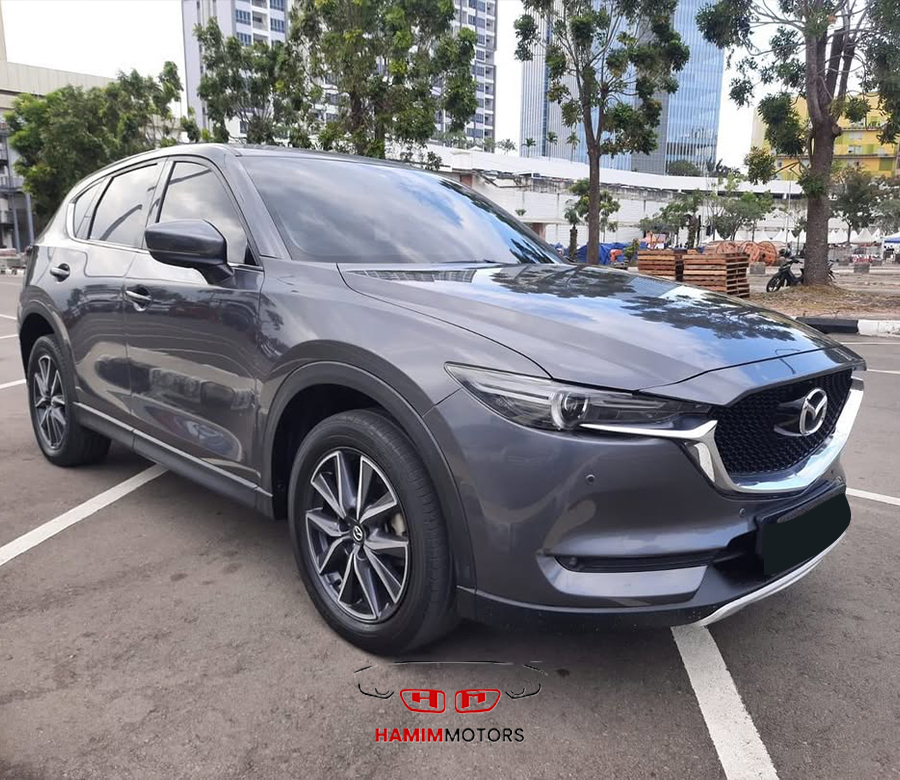 Hamim motors